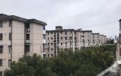 Туры в отель Jujia Hostel