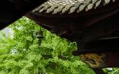 Туры в отель Tianyuan Culture Hotel (Funing Road Metro Station)