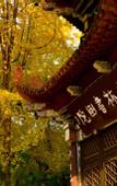 Туры в отель Tianyuan Culture Hotel (Funing Road Metro Station)
