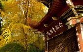 Туры в отель Tianyuan Culture Hotel (Funing Road Metro Station)