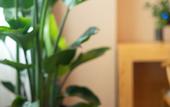 Туры в отель Tianyuan Culture Hotel (Funing Road Metro Station)