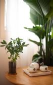 Туры в отель Tianyuan Culture Hotel (Funing Road Metro Station)