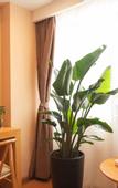 Туры в отель Tianyuan Culture Hotel (Funing Road Metro Station)