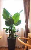 Туры в отель Tianyuan Culture Hotel (Funing Road Metro Station)