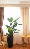 Туры в отель Tianyuan Culture Hotel (Funing Road Metro Station)