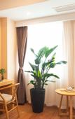 Туры в отель Tianyuan Culture Hotel (Funing Road Metro Station)