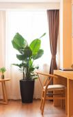 Туры в отель Tianyuan Culture Hotel (Funing Road Metro Station)