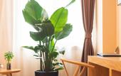 Туры в отель Tianyuan Culture Hotel (Funing Road Metro Station)