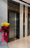 Туры в отель Manju Hotel (Zhoushan Xincheng Baolong Branch)