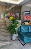 Туры в отель Elong Anyun Hotel (Shanwei Haibin Dadao)