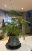 Туры в отель AMIDON HOTEL