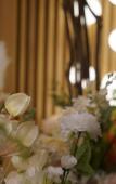 Туры в отель PI hotel
