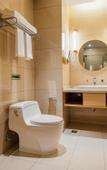 Туры в отель Vienna Hotel (Changzhou Zhixi)