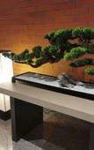 Туры в отель Huanghua An Hotel Nanjing Garden Expo