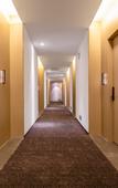 Туры в отель Anji Hotel (Guangzhou Xintang High-speed Railway Station Xintang Subway Station)