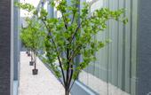 Туры в отель Anji Hotel (Guangzhou Xintang High-speed Railway Station Xintang Subway Station)