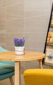 Туры в отель Lavande Hotel (Shenzhen Nanshan Science and Technology Park Vanke Cloud City)