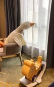 Туры в отель Liyang Shuixi Tianmuhu Hotel