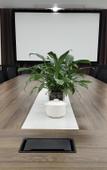 Туры в отель New Century Manju Hotel Linan