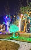 Туры в отель Lijing Holiday Garden Hotel (Tianfu International Airport)