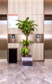 Туры в отель Chongqing Lefang Hotel