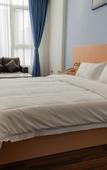 Туры в отель Dongguan Dantes Hotel
