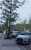 Туры в отель TILL BRIGHT HOTEL (Wanda Plaza store of Huaihua High Speed Railway South Station)