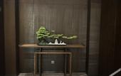 Туры в отель TILL BRIGHT HOTEL (Wanda Plaza store of Huaihua High Speed Railway South Station)