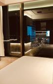 Туры в отель Tuke China Hotel (Lin'an Qingshan Lake Baolong Plaza Store)