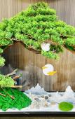 Туры в отель Tuke China Hotel (Lin'an Qingshan Lake Baolong Plaza Store)