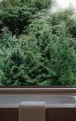 Туры в отель Crowne Plaza SHENNONGJIA by IHG