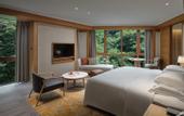 Туры в отель Crowne Plaza SHENNONGJIA by IHG