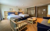 Туры в отель voco NANJING GARDEN EXPO by IHG