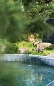 Туры в отель voco NANJING GARDEN EXPO by IHG