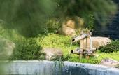 Туры в отель voco NANJING GARDEN EXPO by IHG