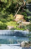 Туры в отель voco NANJING GARDEN EXPO by IHG