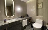Туры в отель voco NANJING GARDEN EXPO by IHG