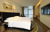 Туры в отель voco NANJING GARDEN EXPO by IHG