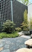 Туры в отель voco NANJING GARDEN EXPO by IHG
