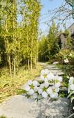 Туры в отель voco NANJING GARDEN EXPO by IHG