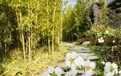 Туры в отель voco NANJING GARDEN EXPO by IHG