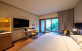 Туры в отель voco NANJING GARDEN EXPO by IHG