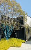 Туры в отель voco NANJING GARDEN EXPO by IHG