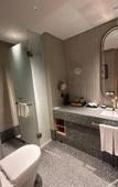 Туры в отель voco NANJING GARDEN EXPO by IHG