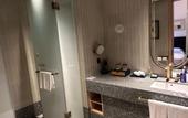Туры в отель voco NANJING GARDEN EXPO by IHG