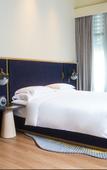 Туры в отель voco NANJING GARDEN EXPO by IHG