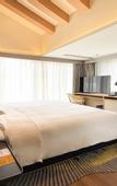 Туры в отель voco NANJING GARDEN EXPO by IHG