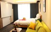Туры в отель Lakeview Peninsula Hotel (Zhengzhou Longzihu University Town Subway Station)