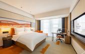 Туры в отель Grand Rezen Hotel Golmud