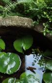 Туры в отель Floral Lux Hotel·Lotus Pond Moonlight hotel (Shaoxing Keyan Scenic Area)